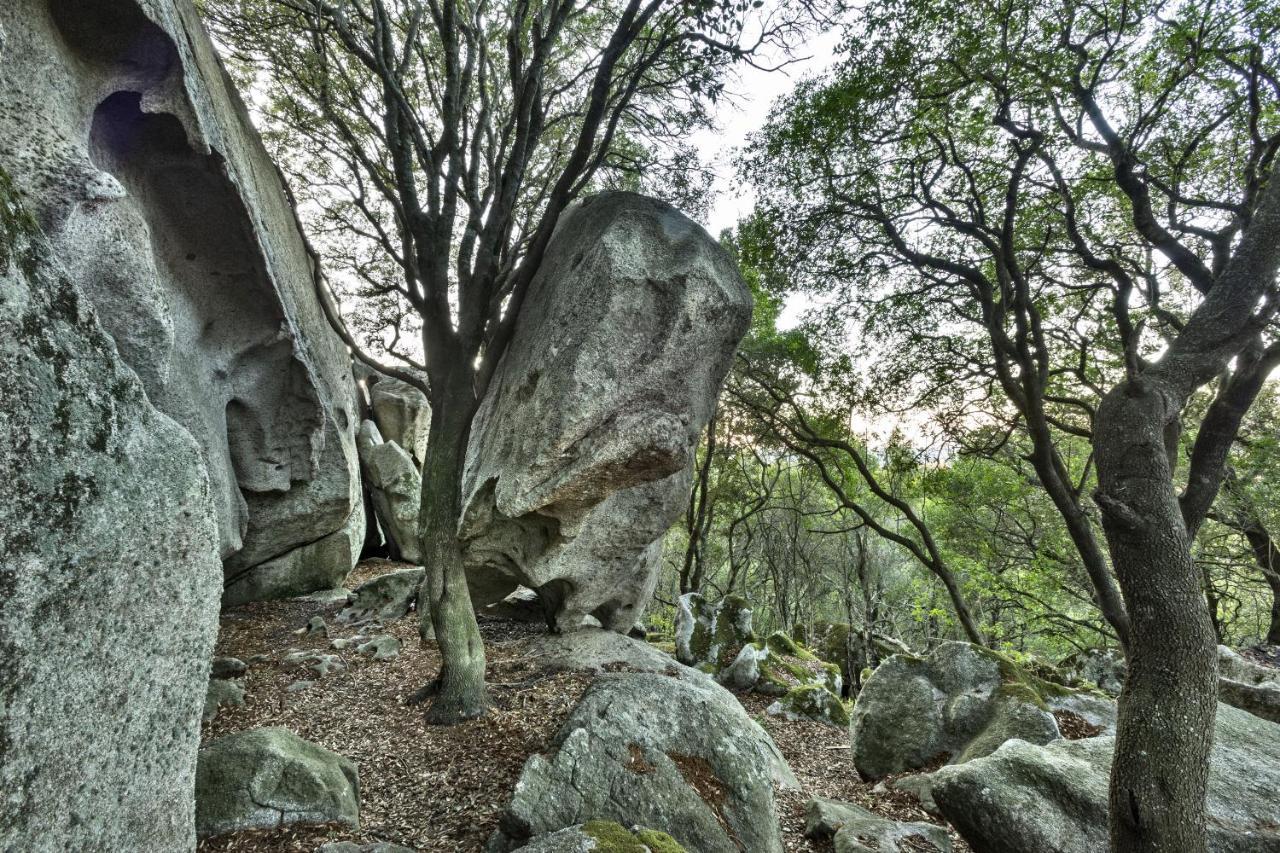 Gallicantu Stazzo Retreat Luogosanto Dış mekan fotoğraf