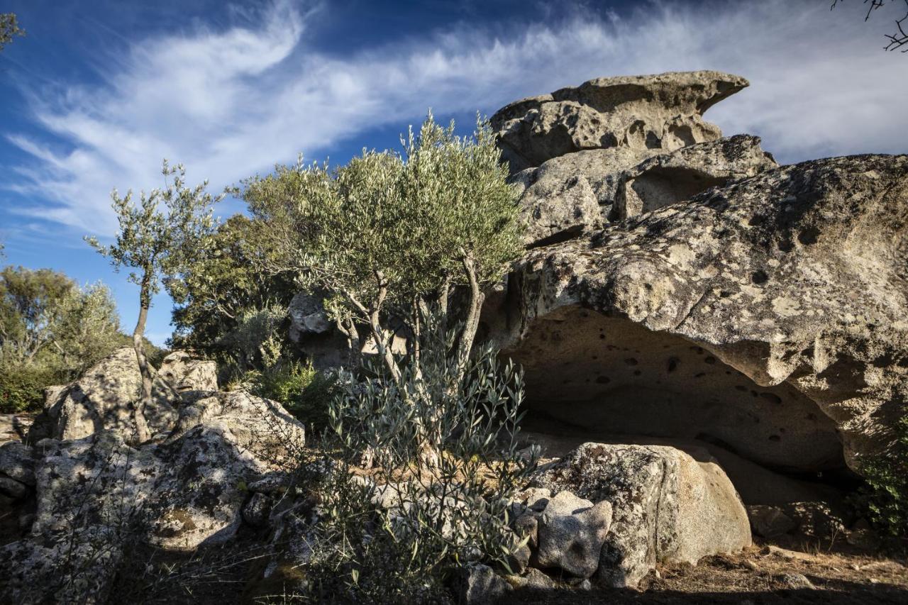 Gallicantu Stazzo Retreat Luogosanto Dış mekan fotoğraf