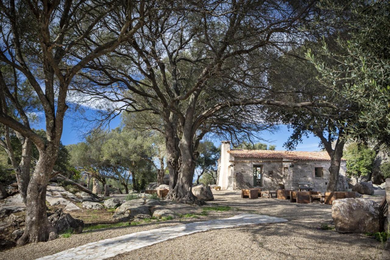 Gallicantu Stazzo Retreat Luogosanto Dış mekan fotoğraf