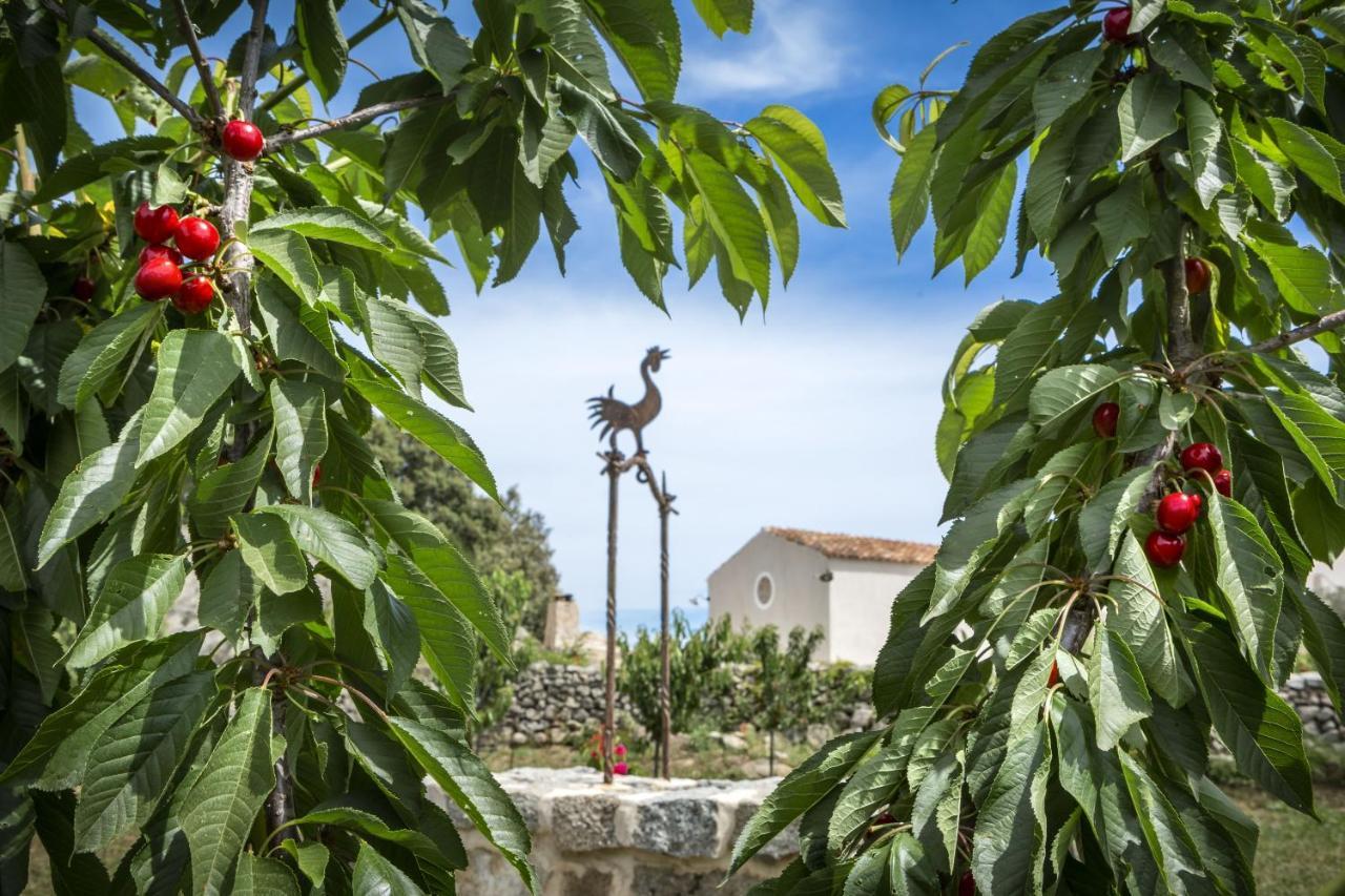 Gallicantu Stazzo Retreat Luogosanto Dış mekan fotoğraf