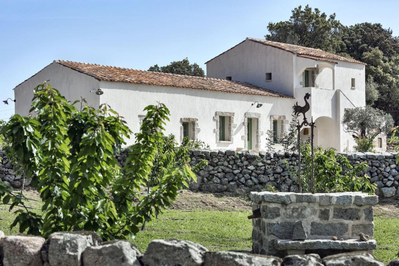 Gallicantu Stazzo Retreat Luogosanto Dış mekan fotoğraf