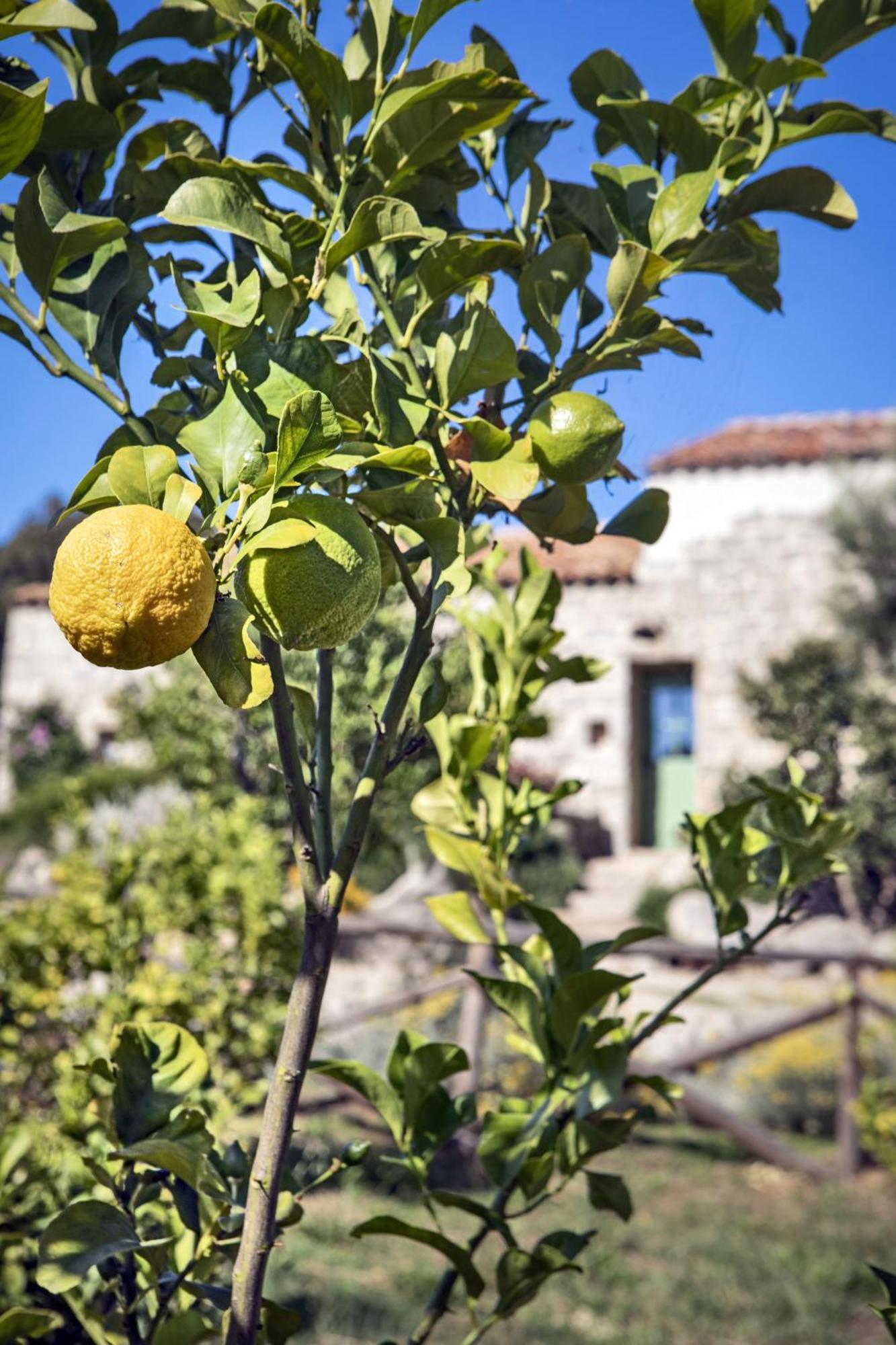 Gallicantu Stazzo Retreat Luogosanto Dış mekan fotoğraf